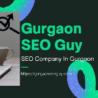 Gurgaon SEO Guy - SEO Expert